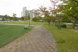 松川工業団地第一公園P1010873