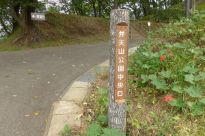 弁天山公園P1010812