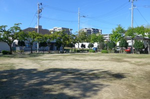 田中公園（野田町）P1010312